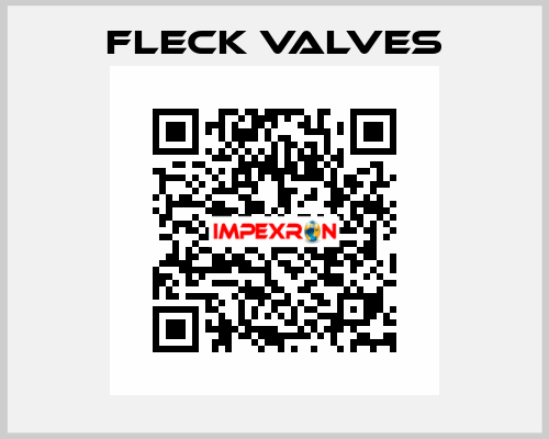 Fleck Valves