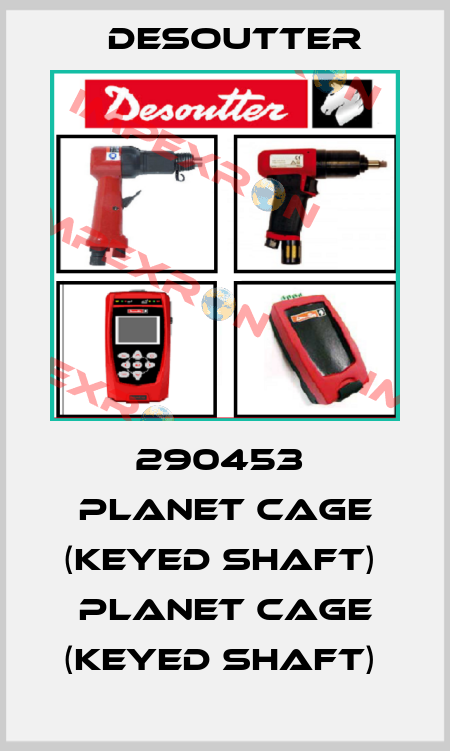 290453  PLANET CAGE (KEYED SHAFT)  PLANET CAGE (KEYED SHAFT)  Desoutter