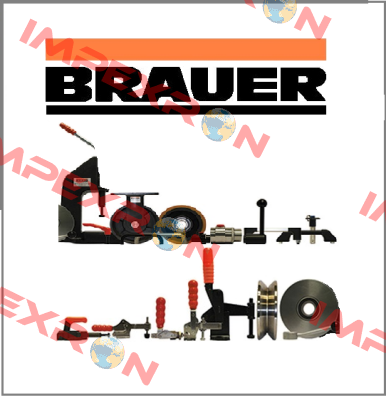 05887-08065  Brauer