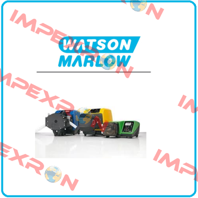 313X  Watson Marlow