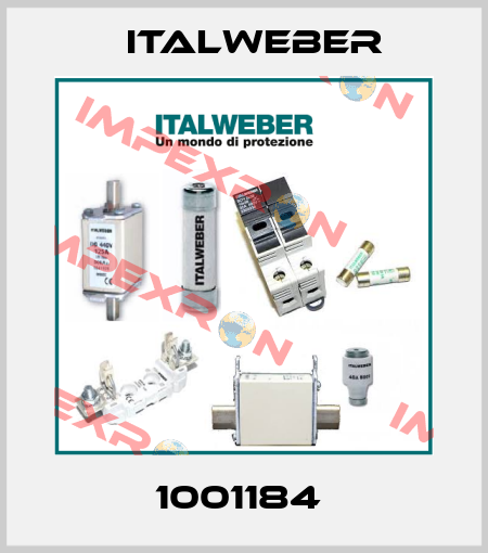 1001184  Italweber