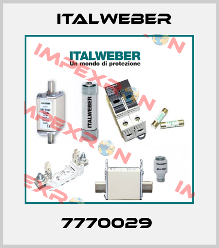 7770029  Italweber
