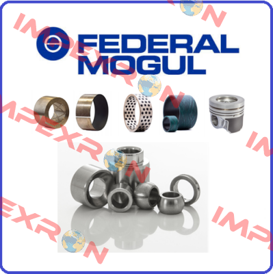 813210010  Federal Mogul