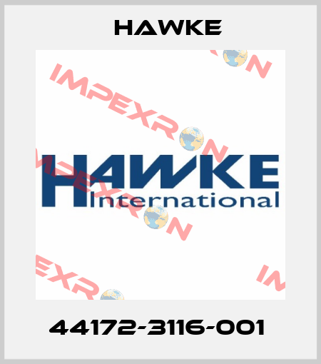 44172-3116-001  Hawke
