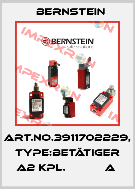 Art.No.3911702229, Type:BETÄTIGER A2 KPL.            A  Bernstein