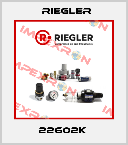 22602K  Riegler