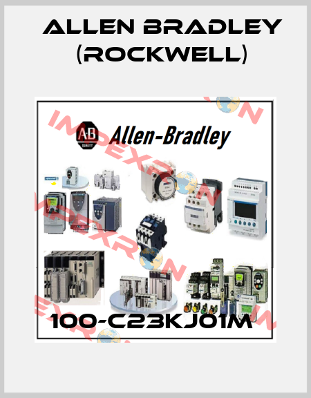 100-C23KJ01M  Allen Bradley (Rockwell)