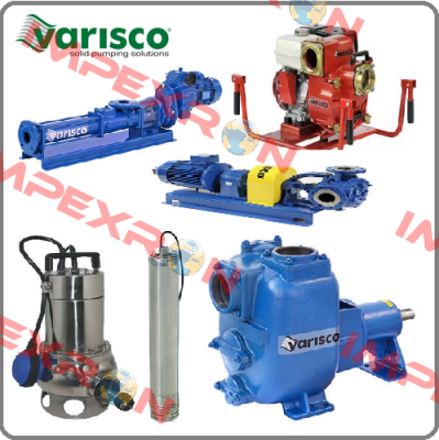 10010397  Varisco pumps