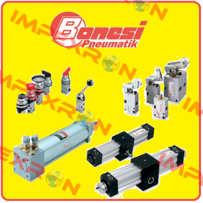  33331  Bonesi Pneumatic