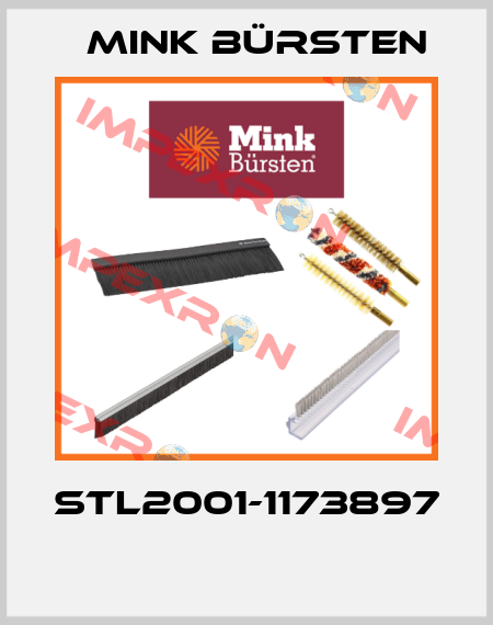 STL2001-1173897  Mink Bürsten