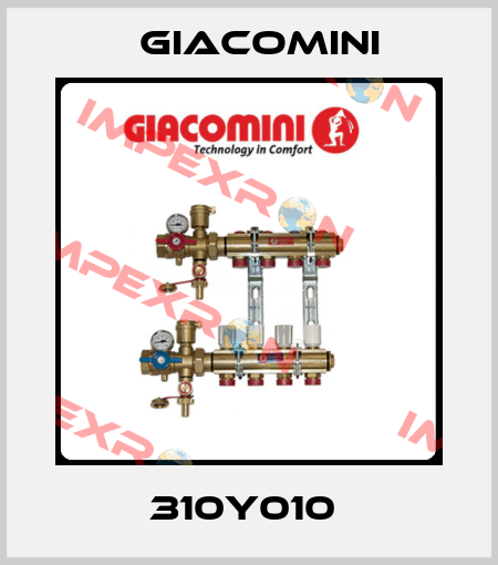 310Y010  Giacomini