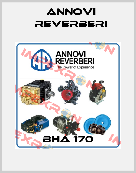 BHA 170 Annovi Reverberi