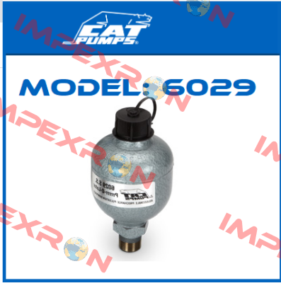 Model: 6029 Cat Pumps
