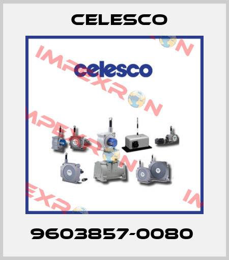 9603857-0080  Celesco