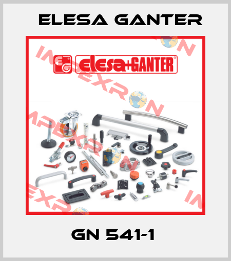 GN 541-1  Elesa Ganter