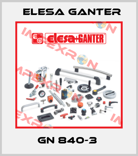 GN 840-3  Elesa Ganter