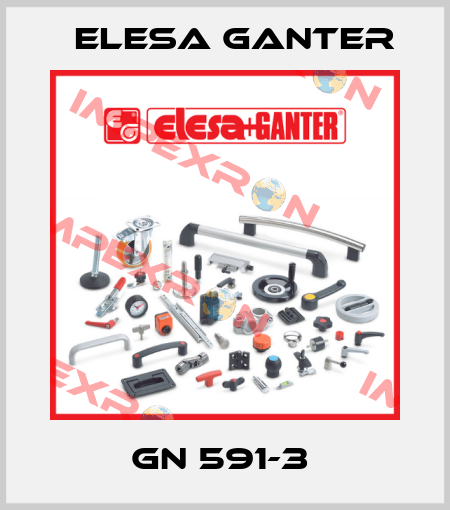 GN 591-3  Elesa Ganter