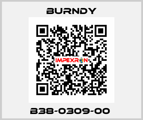 B38-0309-00  Burndy