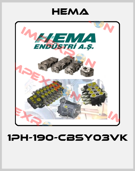 1PH-190-CBSY03VK  Hema