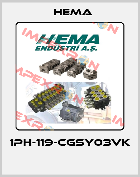1PH-119-CGSY03VK  Hema