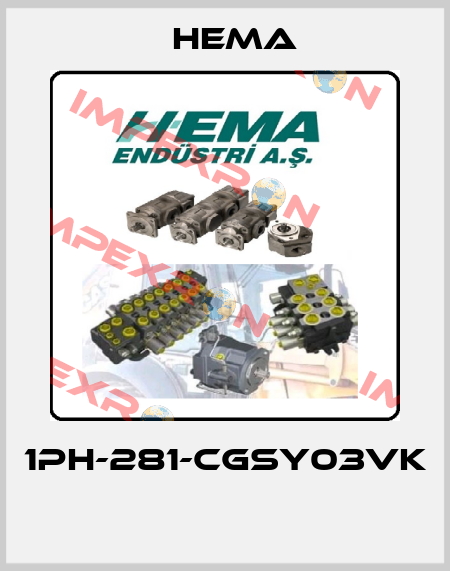 1PH-281-CGSY03VK  Hema