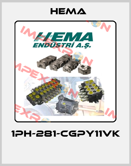 1PH-281-CGPY11VK  Hema