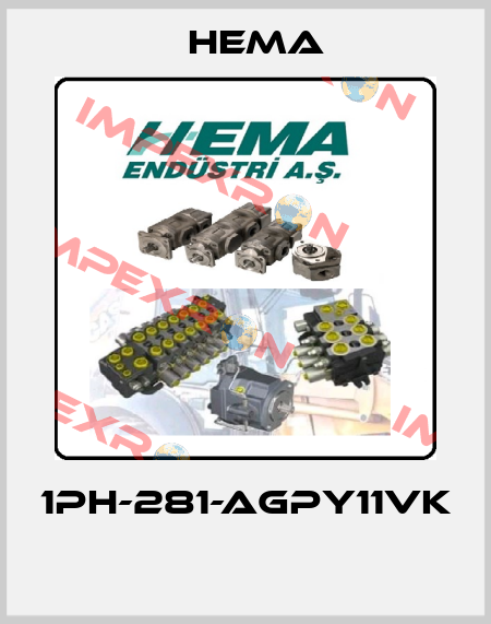 1PH-281-AGPY11VK  Hema