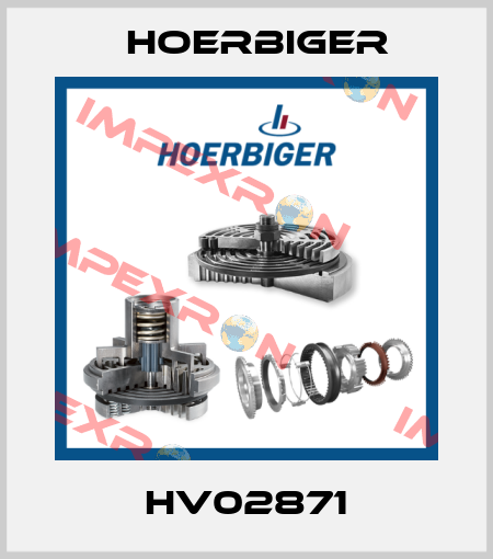 HV02871 Hoerbiger