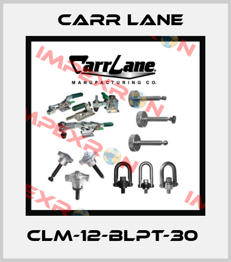 CLM-12-BLPT-30  Carr Lane