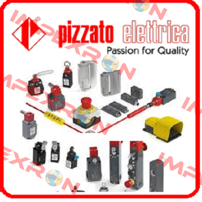 FD 601-2M2K21  Pizzato Elettrica