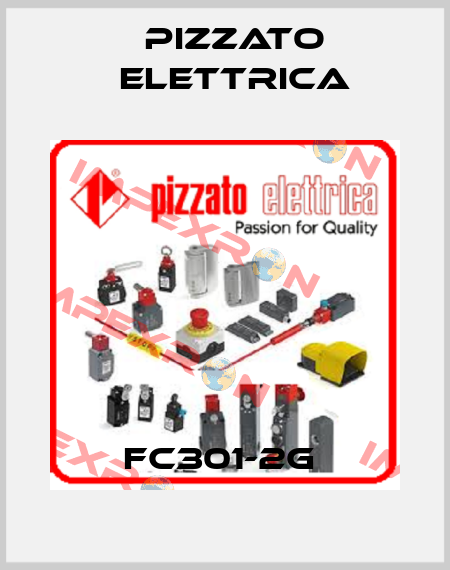 FC301-2G  Pizzato Elettrica