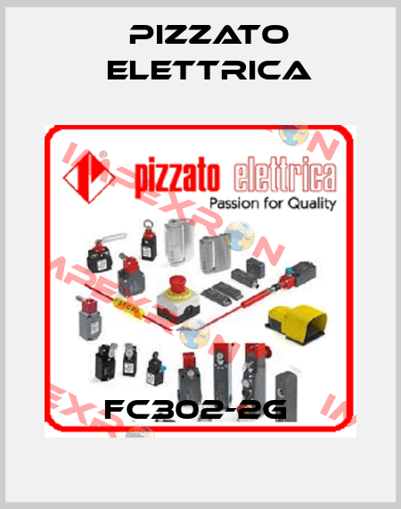 FC302-2G  Pizzato Elettrica