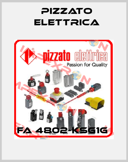 FA 4802-KSG1G  Pizzato Elettrica