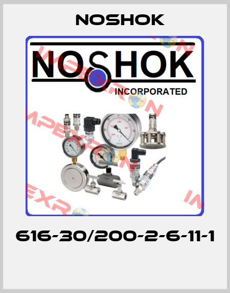 616-30/200-2-6-11-1  Noshok