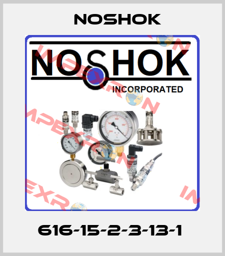 616-15-2-3-13-1  Noshok
