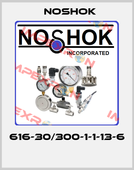 616-30/300-1-1-13-6  Noshok