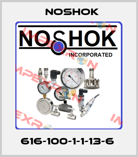 616-100-1-1-13-6  Noshok