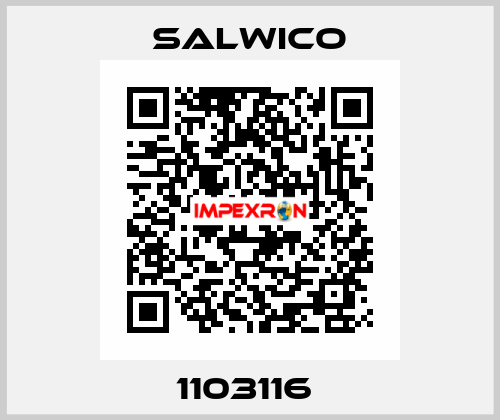 1103116  Salwico