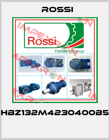 HBZ132M4230400B5  Rossi