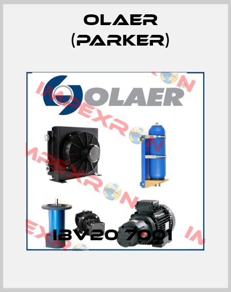 IBV20 7001  Olaer (Parker)