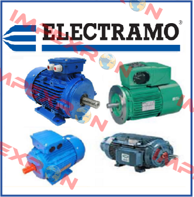 IE2 315KW 1500TM 4/6V B3  Electramo