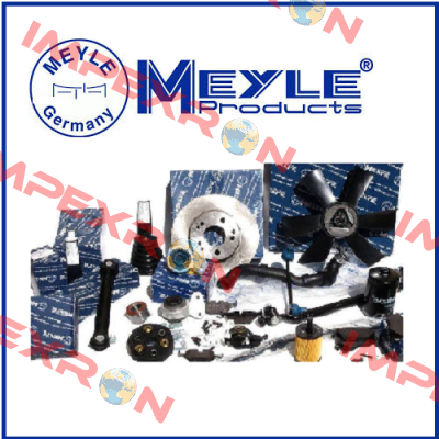 1130110036 OIL PUMP  Meyle