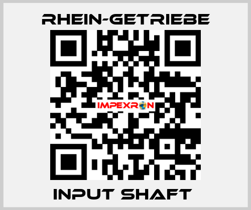 INPUT SHAFT  Rhein-Getriebe