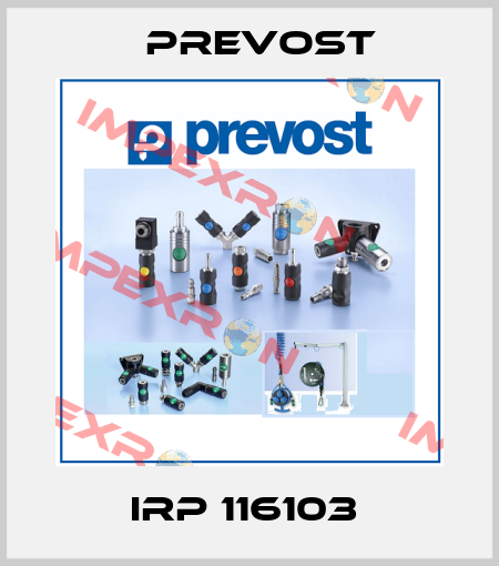 IRP 116103  Prevost