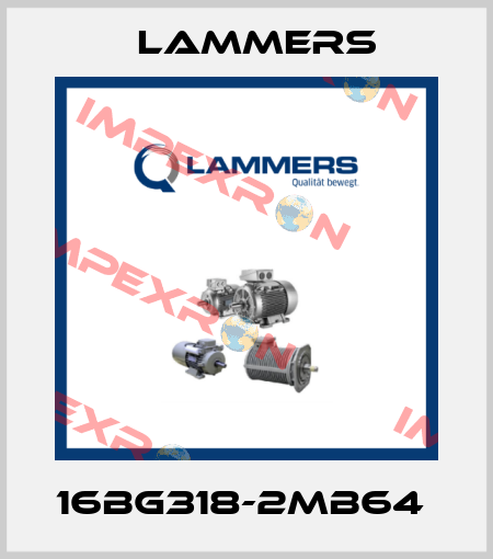 16BG318-2MB64  Lammers