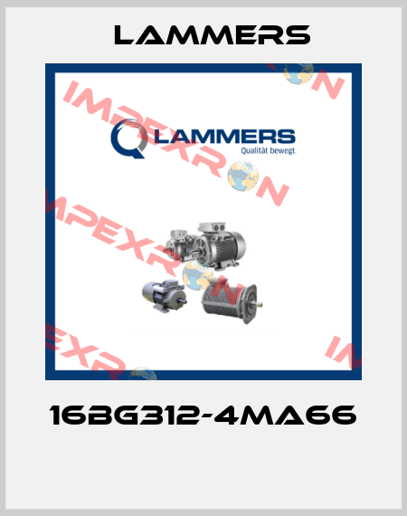 16BG312-4MA66  Lammers