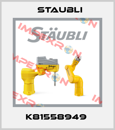 K81558949  Staubli