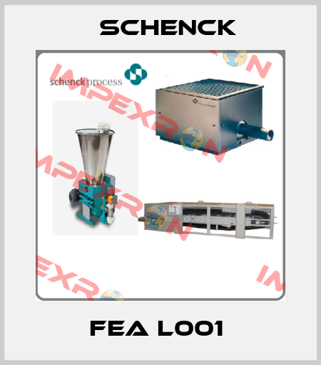 FEA L001  Schenck