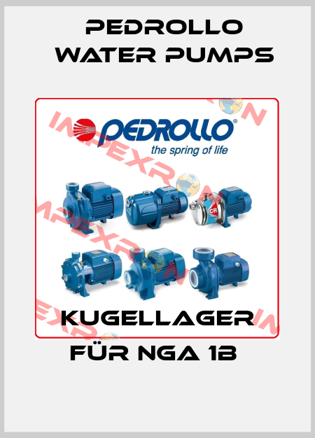 Kugellager für NGA 1B  Pedrollo Water Pumps