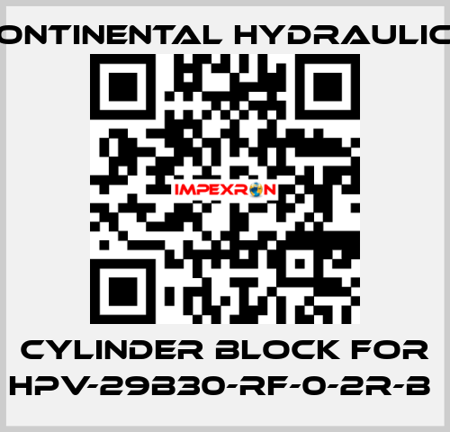 cylinder block for HPV-29B30-RF-0-2R-B  Continental Hydraulics